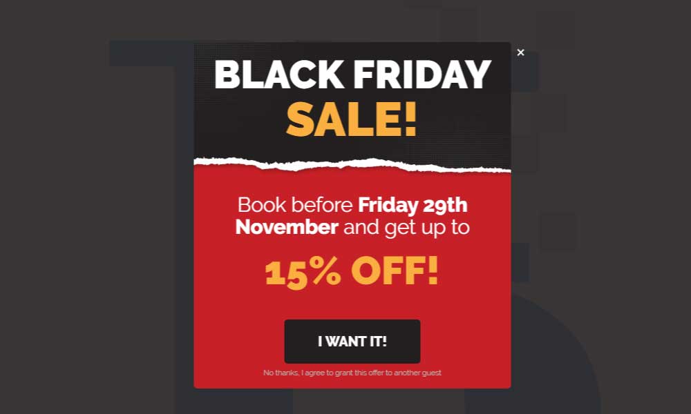 Black Friday Promotion